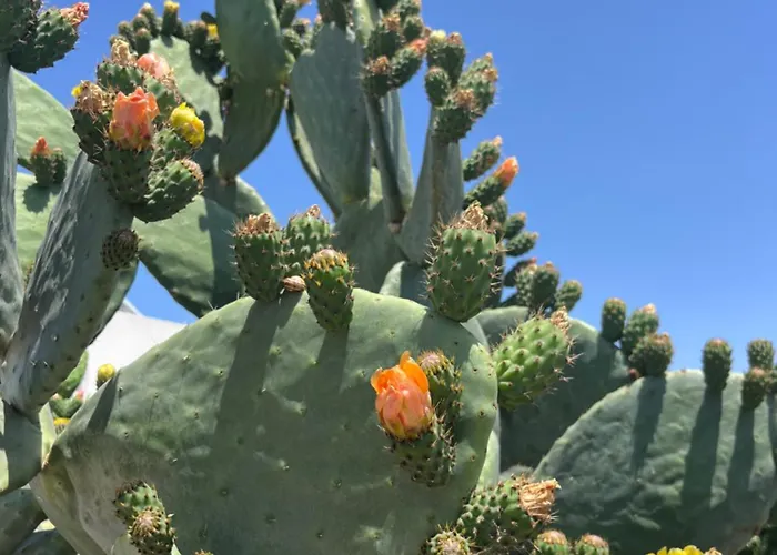 Valentina דירה *